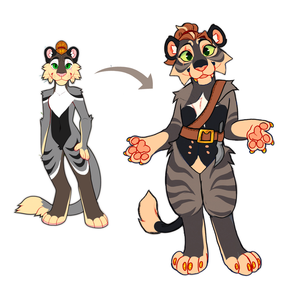 bermuda the pirate lion x tiger