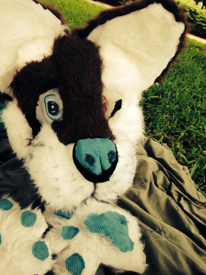 ”Applesauce The Dog”