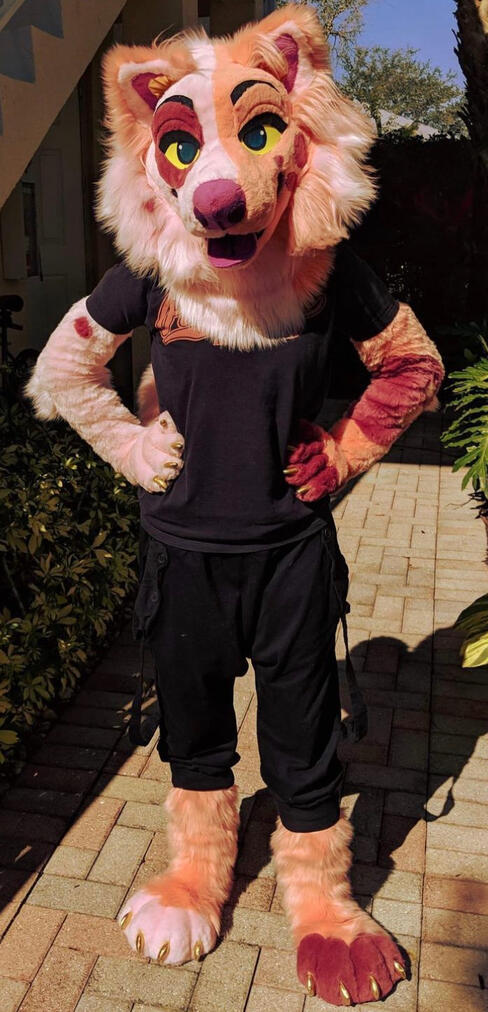 “Samoyed” age 18