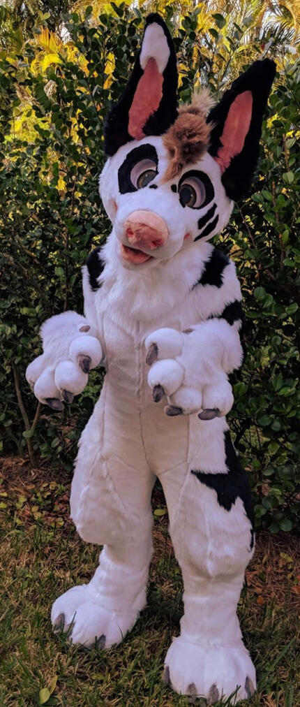 “Great Dane” age 17